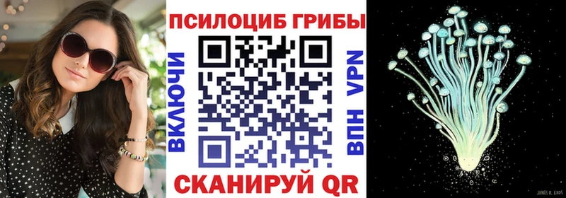 Псилоцибиновые грибы Psilocybine cubensis МЕГА ссылка мориарти какой сайт как найти наркотики Нестеровская